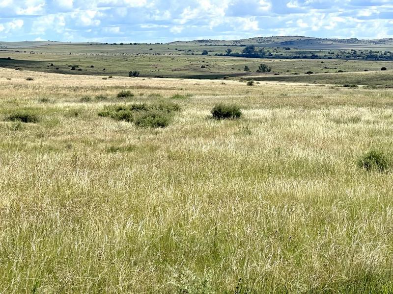 0 Bedroom Property for Sale in Lindley Free State